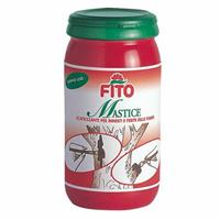 MASTICE 250 G