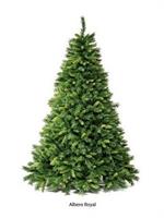 ALBERO ROYAL 210 CM