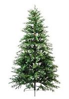 ALBERO BILL 240 CM