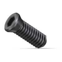 VITE DI BLOCCAGGIO PER PLACCHE KX SET 10 VITI